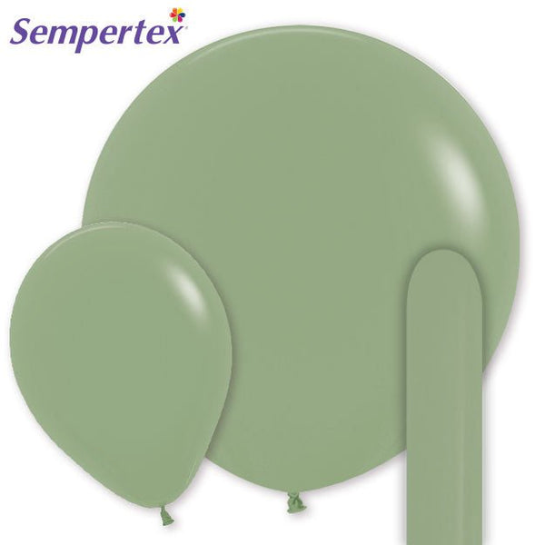 Sempertex Deluxe Eucalyptus - LA Balloons