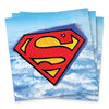 Unique SUPERMAN LUNCHEON NAPKINS (16 PK) Napkins 15647-UN