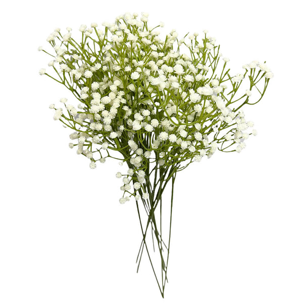 24 inch BABY'S BREATH - CREAM - LA Balloons