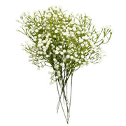 Party Brands 24 inch BABY'S BREATH - CREAM Party Decoration 400261-PB