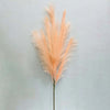 46 inch PAMPAS GRASS SPRAY - BLUSH - LA Balloons