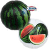 14 inch ROUND WATERMELONS