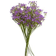 Party Brands 24 inch BABY'S BREATH - LAVENDER Silk Flowers 400191-PB