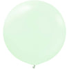 Kalisan 24 inch MACARON PALE GREEN Latex Balloons 12430096-KL