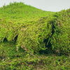 PRESERVED SHEET MOSS - LA Balloons