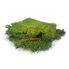 PRESERVED SHEET MOSS - LA Balloons