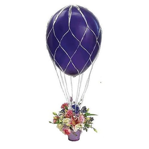16 inch BALLOON NET
