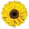 24 inch YELLOW FLOWER - LA Balloons