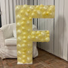 Nikoloon 39 inch LETTER - F MOSAIC FRAME Party Decoration 88149A-N