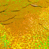 Balloonfetti HOLOGRAPHIC CONFETTI - GOLD Confetti 00812-BF