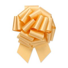 Berwick PULL BOW - GOLD Pull Bows