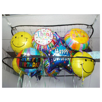 Silver Rainbow BALLOON CORRAL - 4FT X 4FT Balloon Corrals BC4NET-SR