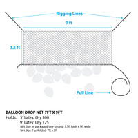 Silver Rainbow BALLOON DROP NET - 7FT X 9FT Balloon Drops BNP7X9-SR